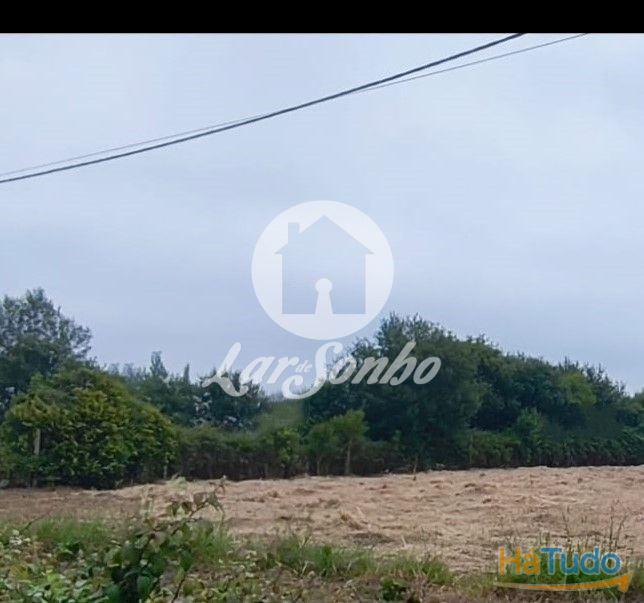 Terreno em Apúlia Terreno em Apúlia