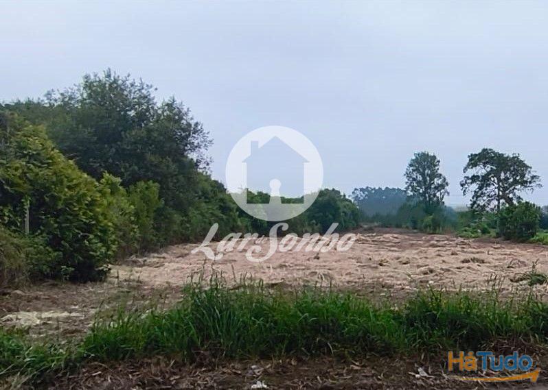 Terreno em Apúlia Terreno em Apúlia