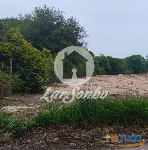 Terreno em Apúlia Terreno em Apúlia