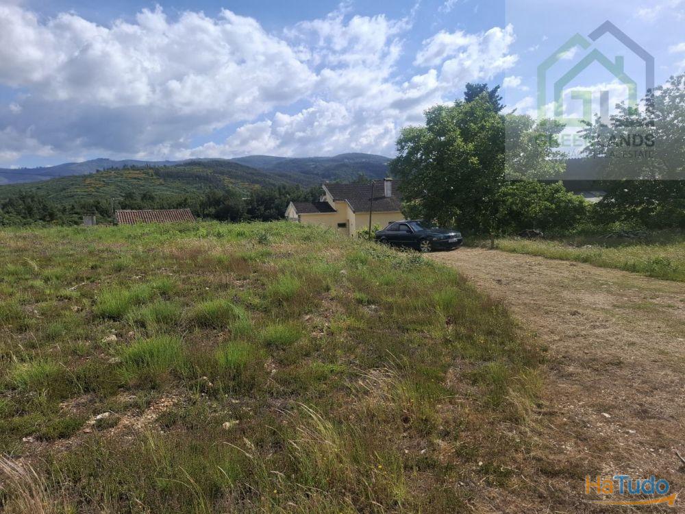 Venda de terreno para construção em Casal de São João - Côja Venda de terreno para construção em Casal de São João - Côja