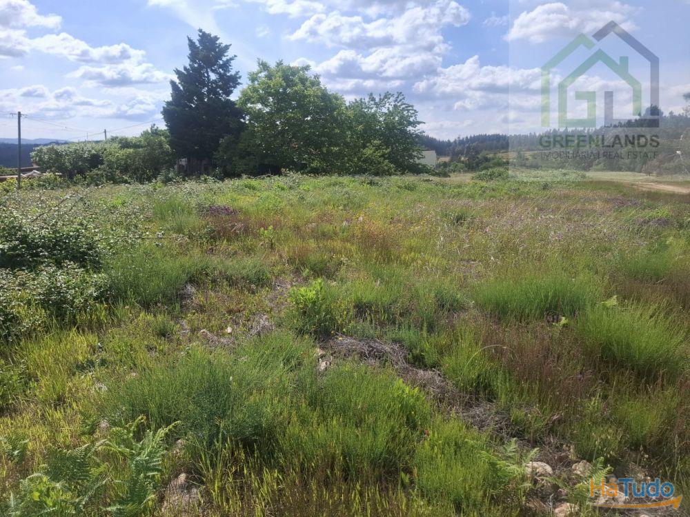 Venda de terreno para construção em Casal de São João - Côja Venda de terreno para construção em Casal de São João - Côja