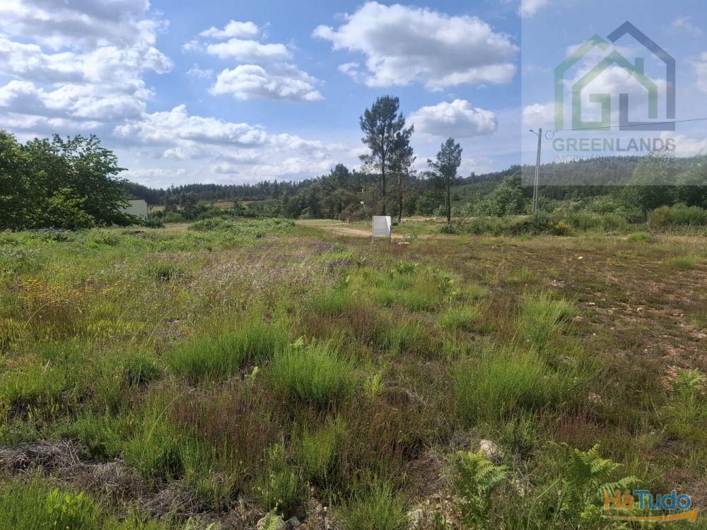 Venda de terreno para construção em Casal de São João - Côja Venda de terreno para construção em Casal de São João - Côja