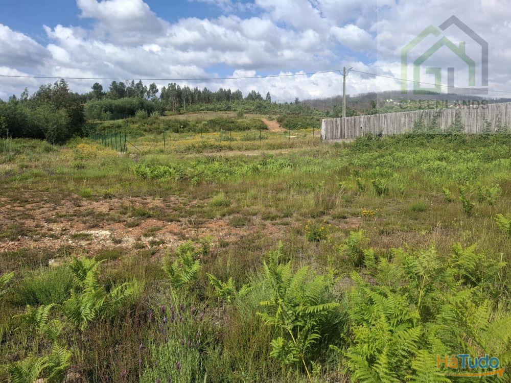 Venda de terreno para construção em Casal de São João - Côja Venda de terreno para construção em Casal de São João - Côja