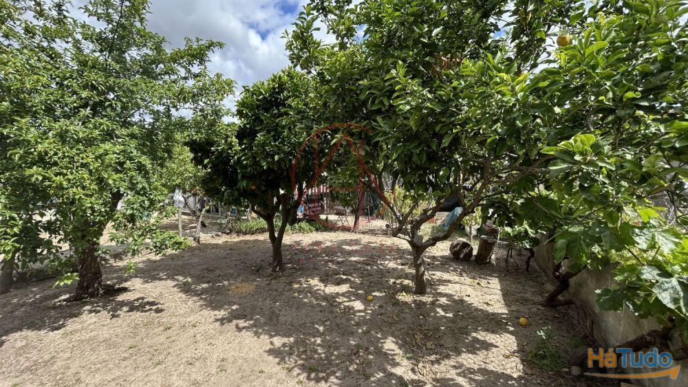 Moradia T1 + anexos ? Lote com 324 m2 Moradia T1 + anexos ? Lote com 324 m2