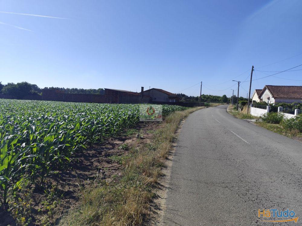 Terreno em Ouca com viabilidade de construção Terreno em Ouca com viabilidade de construção