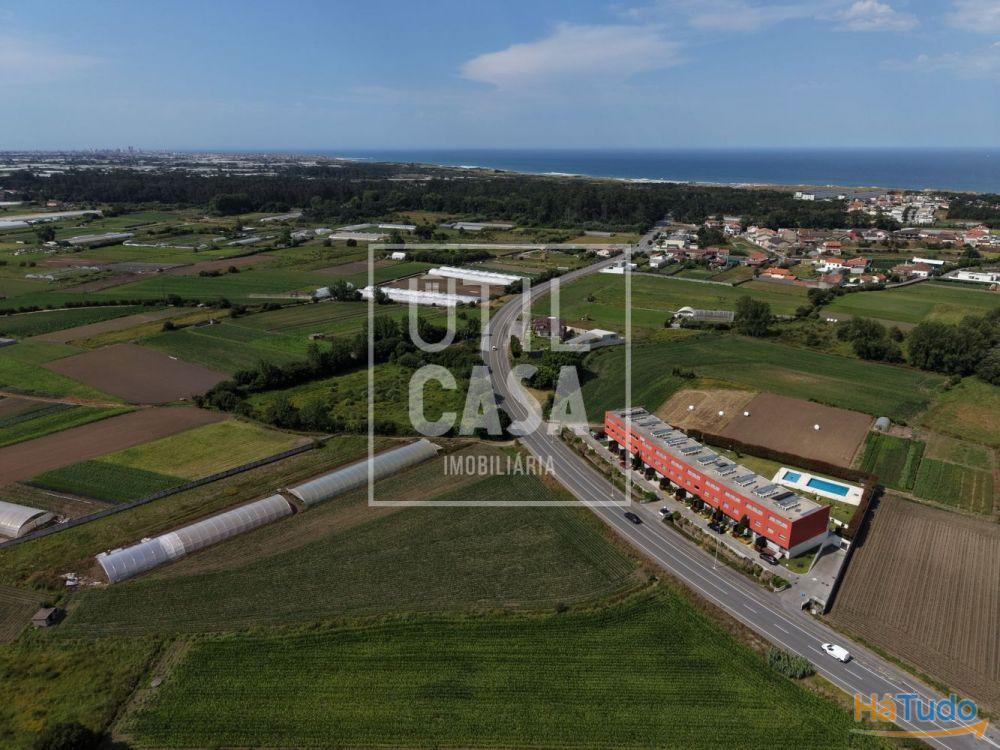 Terreno Agrícola em Apúlia Terreno Agrícola em Apúlia