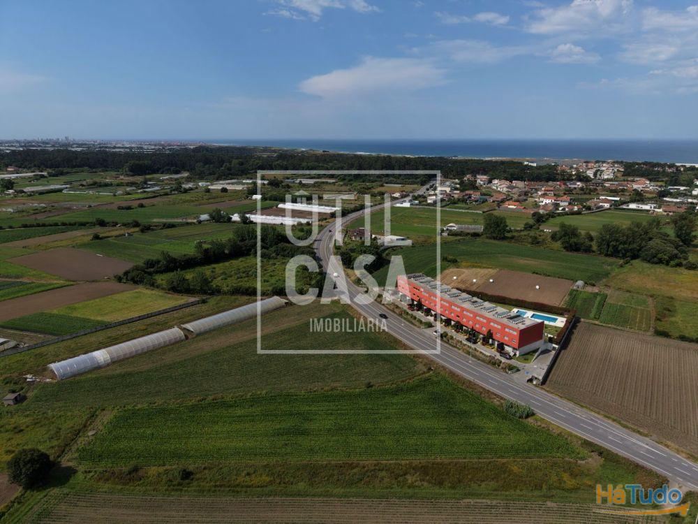 Terreno Agrícola em Apúlia Terreno Agrícola em Apúlia