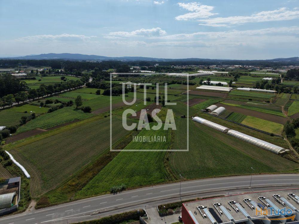 Terreno Agrícola em Apúlia Terreno Agrícola em Apúlia
