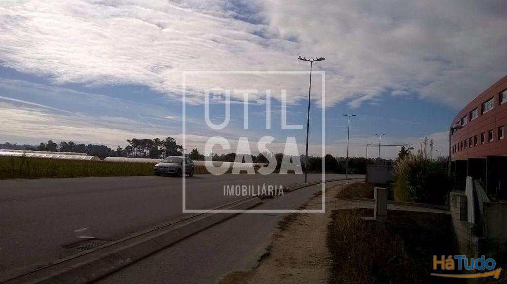 Terreno Agrícola em Apúlia Terreno Agrícola em Apúlia
