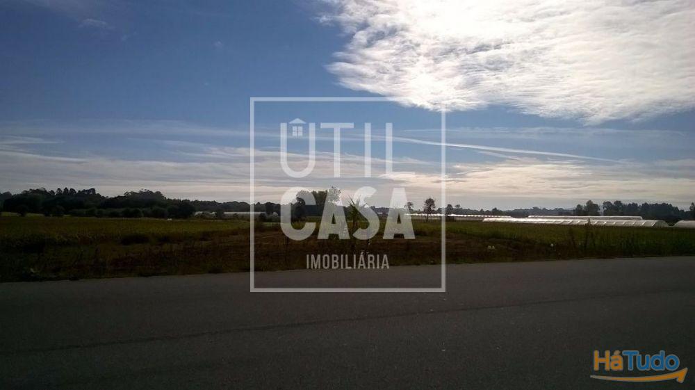 Terreno Agrícola em Apúlia Terreno Agrícola em Apúlia