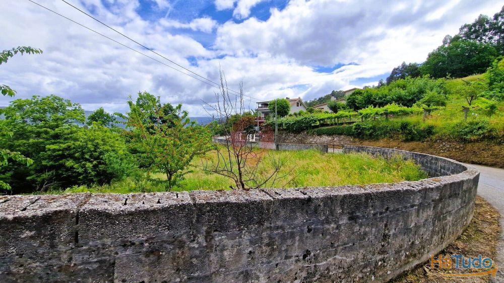 Terreno Terreno