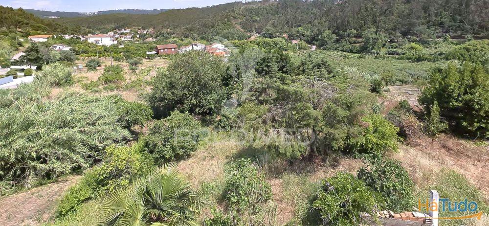 Moradia T3, Garagem, Sotão, 765m2 Terreno. Almalagues Moradia T3, Garagem, Sotão, 765m2 Terreno. Almalagues
