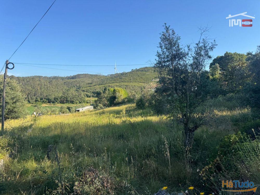TERRENO COM 1382 m² SITUADO A 8 KMS DE FÁTIMA TERRENO COM 1382 m² SITUADO A 8 KMS DE FÁTIMA
