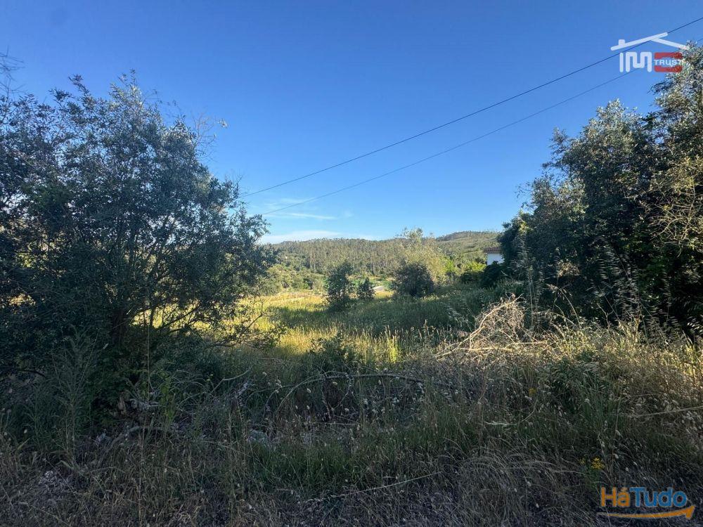 TERRENO COM 1382 m² SITUADO A 8 KMS DE FÁTIMA TERRENO COM 1382 m² SITUADO A 8 KMS DE FÁTIMA