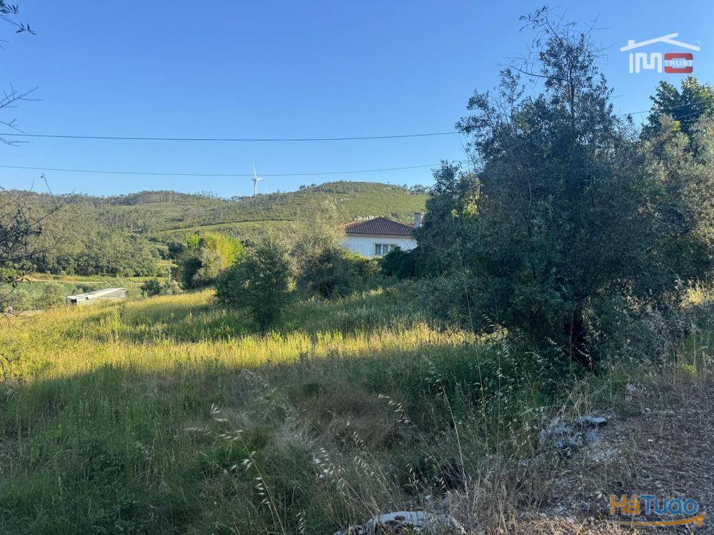TERRENO COM 1382 m² SITUADO A 8 KMS DE FÁTIMA TERRENO COM 1382 m² SITUADO A 8 KMS DE FÁTIMA