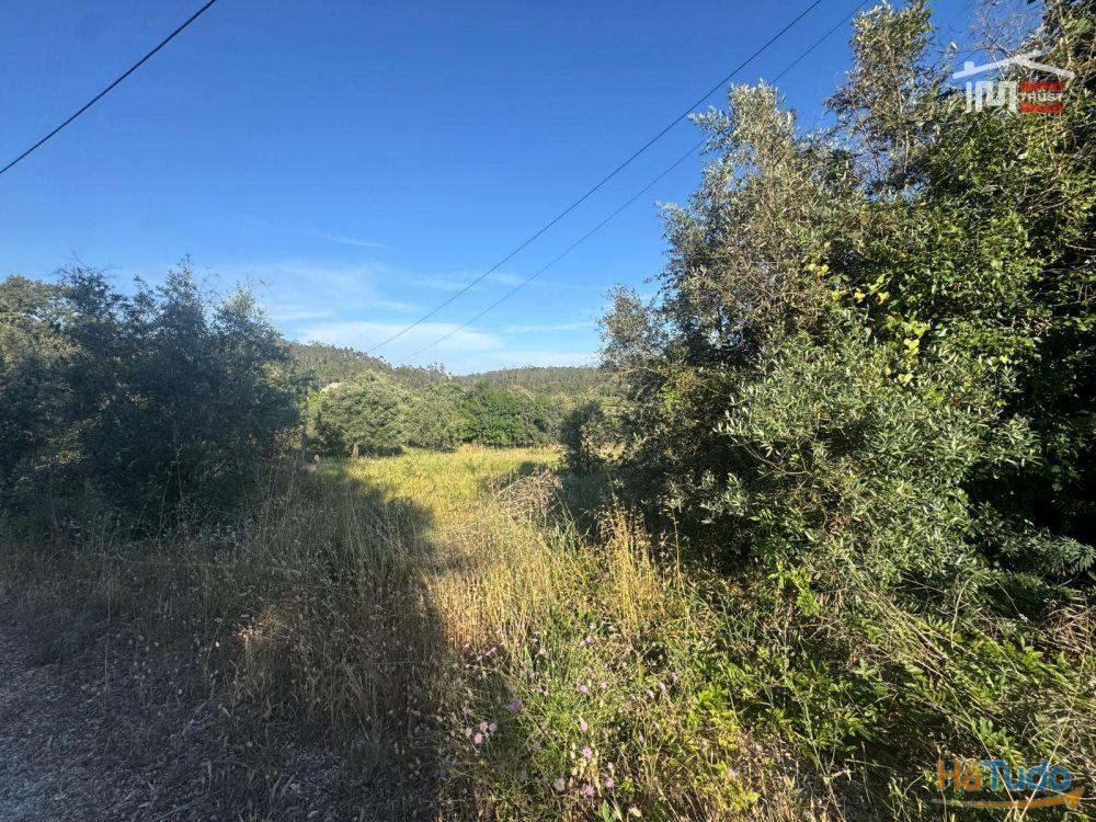 TERRENO COM 1382 m² SITUADO A 8 KMS DE FÁTIMA TERRENO COM 1382 m² SITUADO A 8 KMS DE FÁTIMA