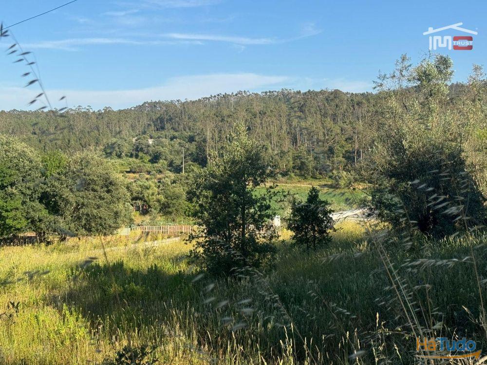 TERRENO COM 1382 m² SITUADO A 8 KMS DE FÁTIMA TERRENO COM 1382 m² SITUADO A 8 KMS DE FÁTIMA