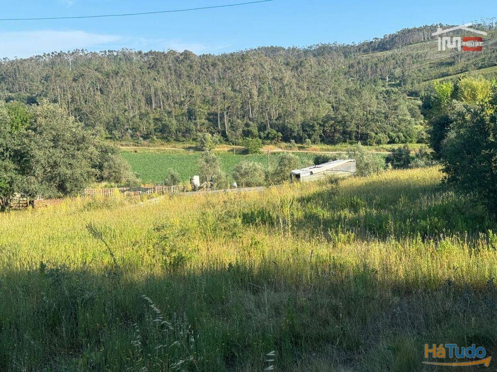 TERRENO COM 1382 m² SITUADO A 8 KMS DE FÁTIMA TERRENO COM 1382 m² SITUADO A 8 KMS DE FÁTIMA