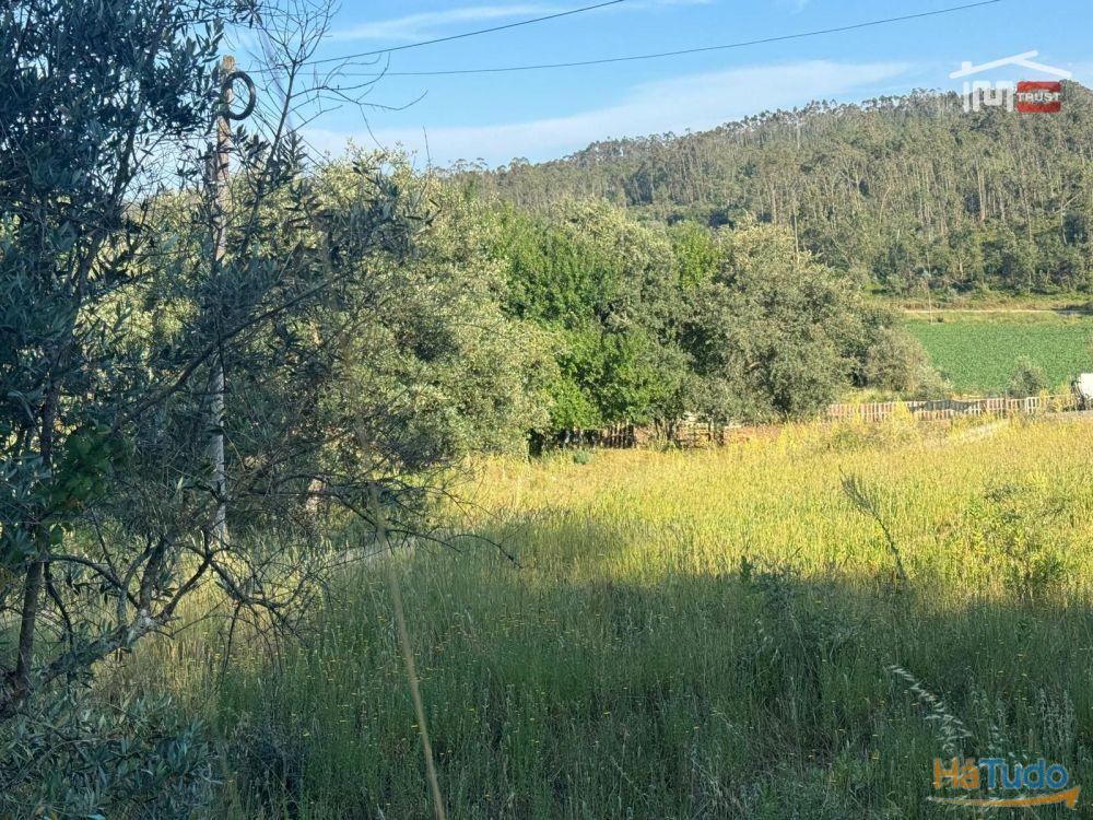 TERRENO COM 1382 m² SITUADO A 8 KMS DE FÁTIMA TERRENO COM 1382 m² SITUADO A 8 KMS DE FÁTIMA