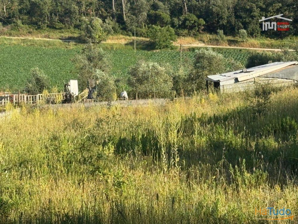 TERRENO COM 1382 m² SITUADO A 8 KMS DE FÁTIMA TERRENO COM 1382 m² SITUADO A 8 KMS DE FÁTIMA