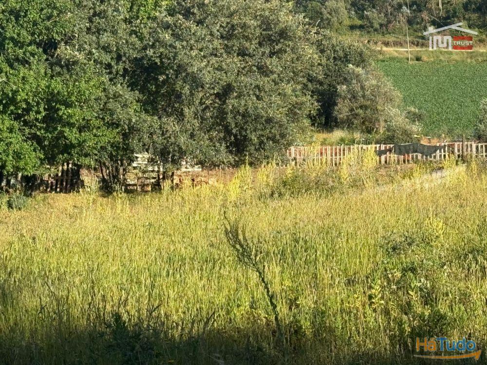 TERRENO COM 1382 m² SITUADO A 8 KMS DE FÁTIMA TERRENO COM 1382 m² SITUADO A 8 KMS DE FÁTIMA