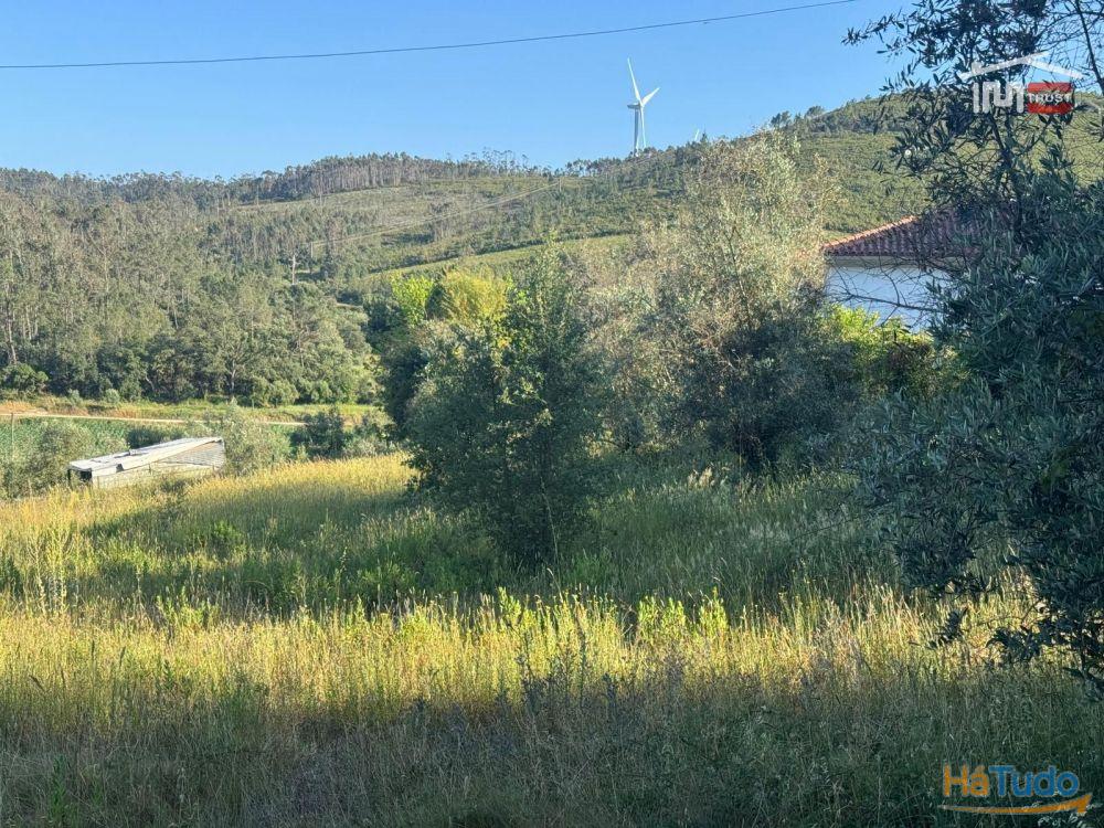 TERRENO COM 1382 m² SITUADO A 8 KMS DE FÁTIMA TERRENO COM 1382 m² SITUADO A 8 KMS DE FÁTIMA