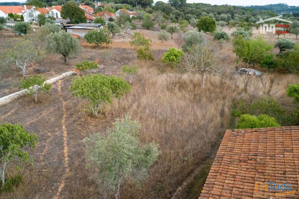 Excelente Oportunidade Excelente Oportunidade de Investimento em terreno misto, possibilidade de construção Excelente Oportunidade Excelente Oportunidade de Investimento em terreno misto, possibilidade de construção