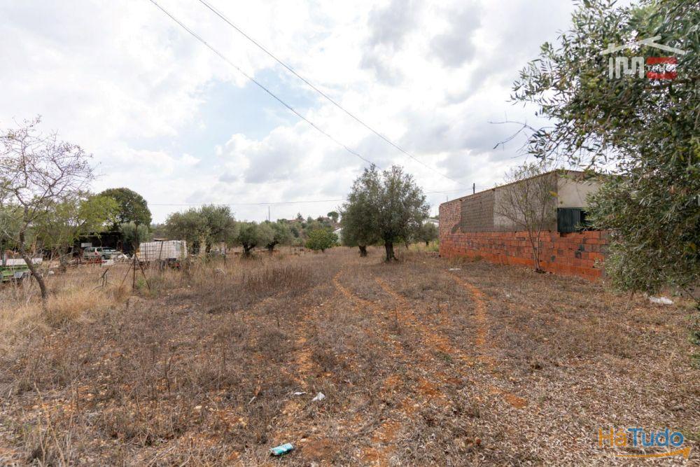 Excelente Oportunidade Excelente Oportunidade de Investimento em terreno misto, possibilidade de construção Excelente Oportunidade Excelente Oportunidade de Investimento em terreno misto, possibilidade de construção