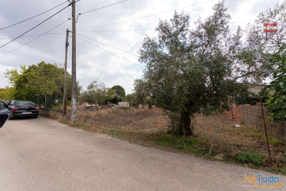 Excelente Oportunidade Excelente Oportunidade de Investimento em terreno misto, possibilidade de construção Excelente Oportunidade Excelente Oportunidade de Investimento em terreno misto, possibilidade de construção