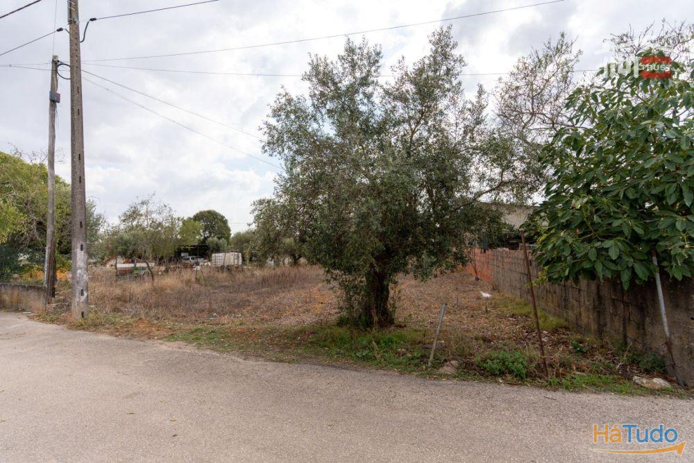 Excelente Oportunidade Excelente Oportunidade de Investimento em terreno misto, possibilidade de construção Excelente Oportunidade Excelente Oportunidade de Investimento em terreno misto, possibilidade de construção