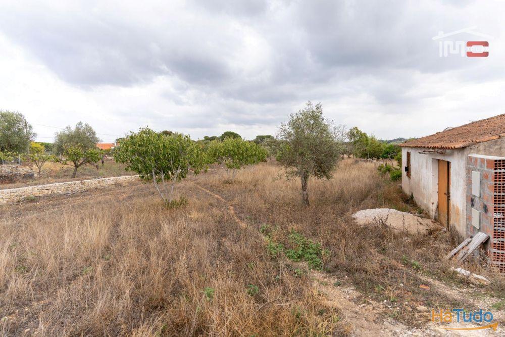 Excelente Oportunidade Excelente Oportunidade de Investimento em terreno misto, possibilidade de construção Excelente Oportunidade Excelente Oportunidade de Investimento em terreno misto, possibilidade de construção