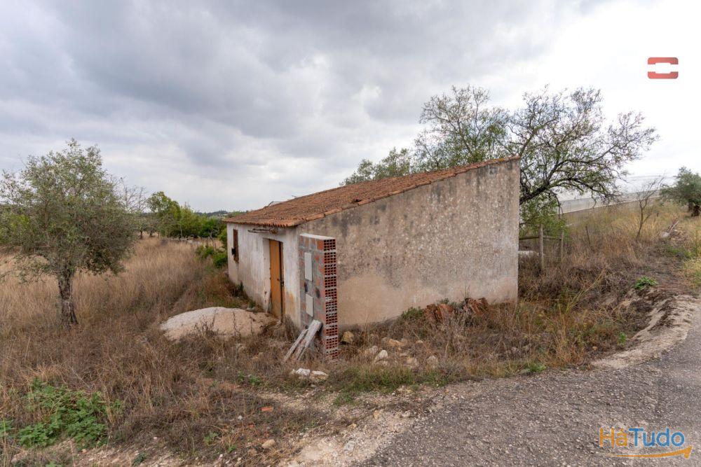 Excelente Oportunidade Excelente Oportunidade de Investimento em terreno misto, possibilidade de construção Excelente Oportunidade Excelente Oportunidade de Investimento em terreno misto, possibilidade de construção