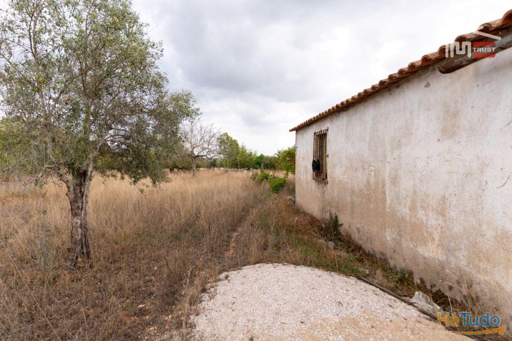 Excelente Oportunidade Excelente Oportunidade de Investimento em terreno misto, possibilidade de construção Excelente Oportunidade Excelente Oportunidade de Investimento em terreno misto, possibilidade de construção