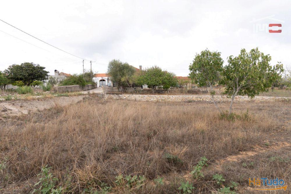 Excelente Oportunidade Excelente Oportunidade de Investimento em terreno misto, possibilidade de construção Excelente Oportunidade Excelente Oportunidade de Investimento em terreno misto, possibilidade de construção