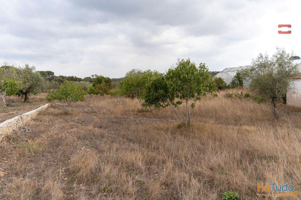 Excelente Oportunidade Excelente Oportunidade de Investimento em terreno misto, possibilidade de construção Excelente Oportunidade Excelente Oportunidade de Investimento em terreno misto, possibilidade de construção