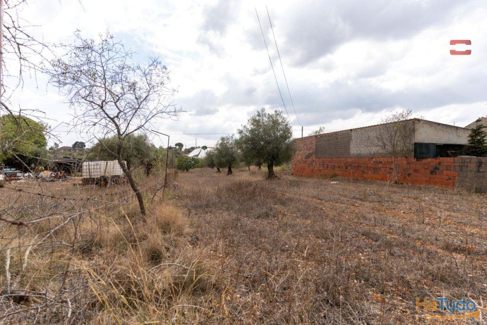 Excelente Oportunidade Excelente Oportunidade de Investimento em terreno misto, possibilidade de construção Excelente Oportunidade Excelente Oportunidade de Investimento em terreno misto, possibilidade de construção