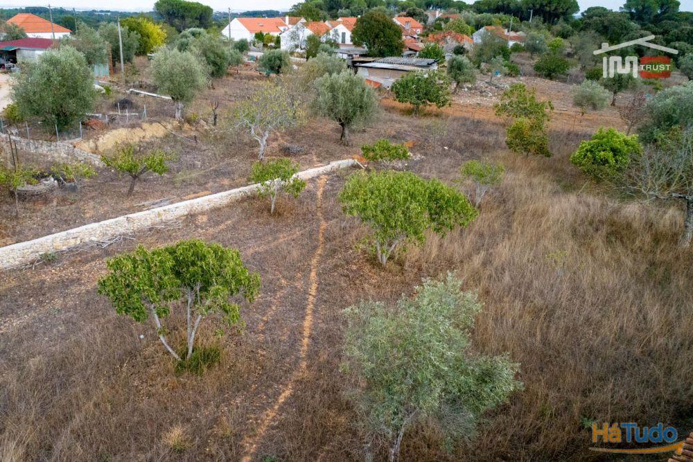 Excelente Oportunidade Excelente Oportunidade de Investimento em terreno misto, possibilidade de construção Excelente Oportunidade Excelente Oportunidade de Investimento em terreno misto, possibilidade de construção