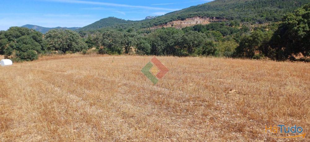 Terreno rústico, para venda, Marvão - S. Salvador da Aramenha Terreno rústico, para venda, Marvão - S. Salvador da Aramenha