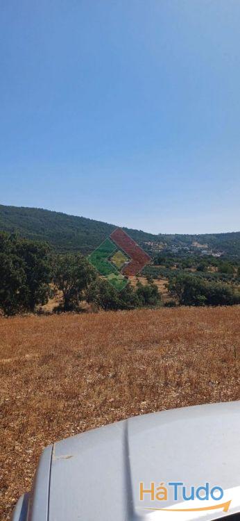 Terreno rústico, para venda, Marvão - S. Salvador da Aramenha Terreno rústico, para venda, Marvão - S. Salvador da Aramenha