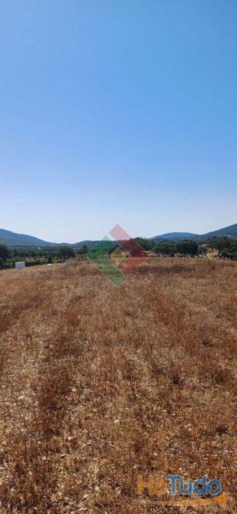 Terreno rústico, para venda, Marvão - S. Salvador da Aramenha Terreno rústico, para venda, Marvão - S. Salvador da Aramenha