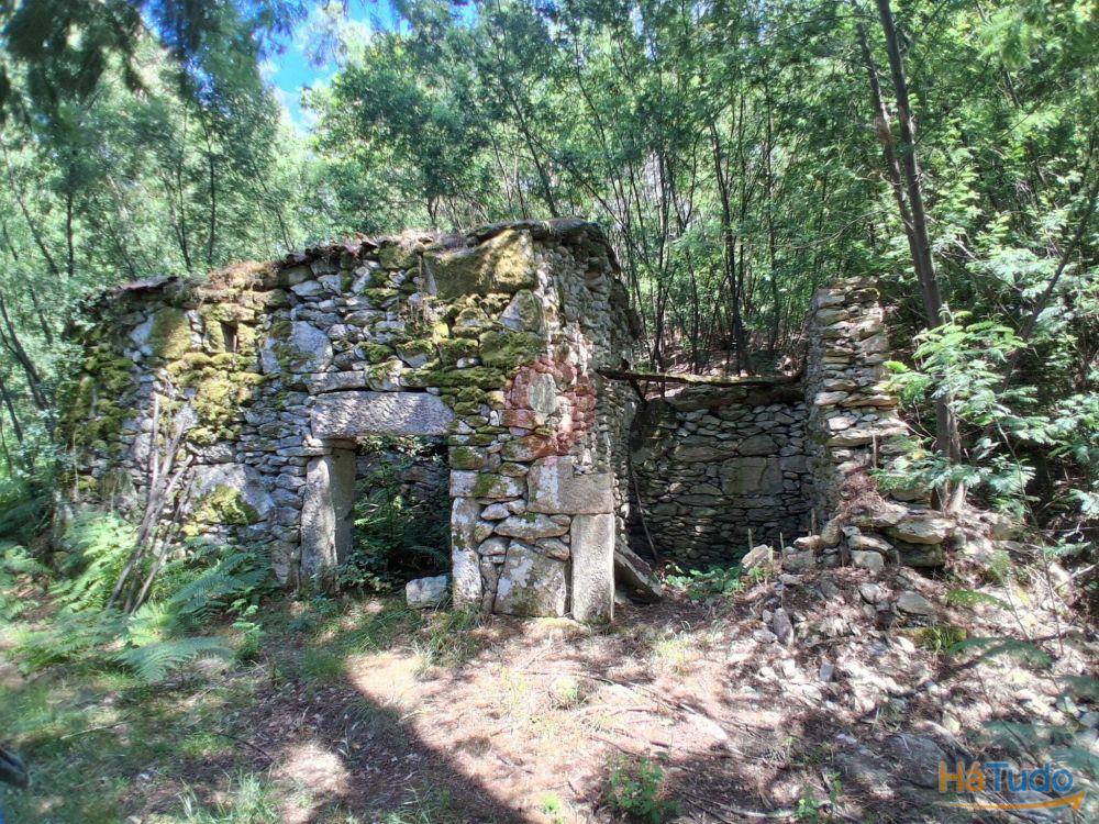 Terreno com ruína Terreno com ruína