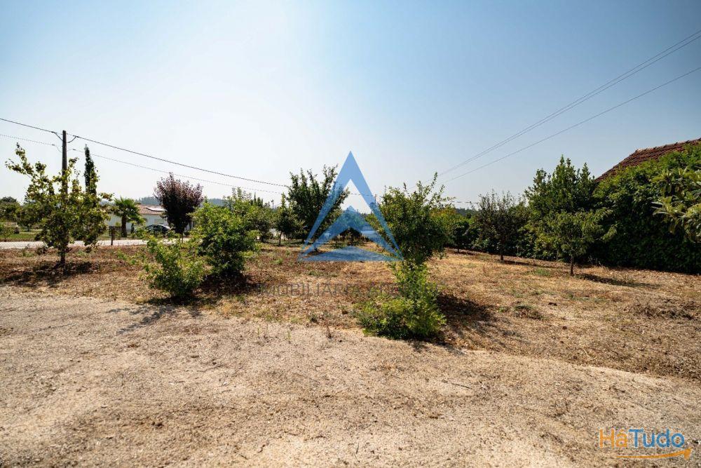 TERRENO URBANO COM  ANEXO T1 JARDIM E  PO�O