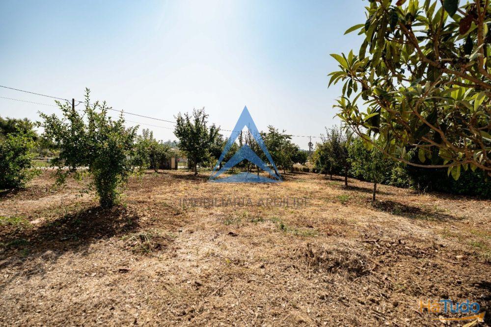 TERRENO URBANO COM  ANEXO T1 JARDIM E  PO�O
