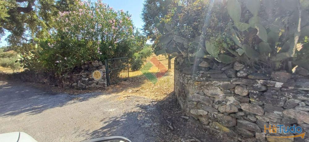 Terreno agrícola, para venda, Marvão - Beirã Terreno agrícola, para venda, Marvão - Beirã