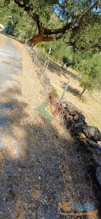 Terreno agrícola, para venda, Marvão - Beirã Terreno agrícola, para venda, Marvão - Beirã