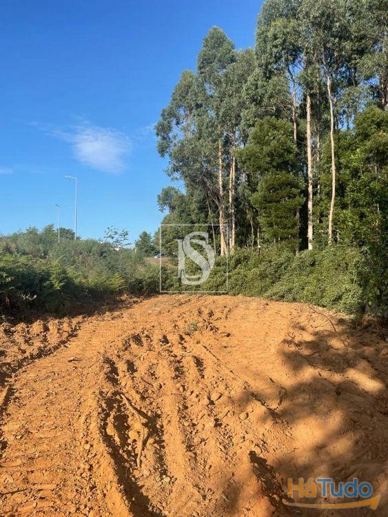 Terreno Venda em Santa Maria da Feira, Travanca, Sanfins e Espargo,Santa Maria da Feira Terreno Venda em Santa Maria da Feira, Travanca, Sanfins e Espargo,Santa Maria da Feira