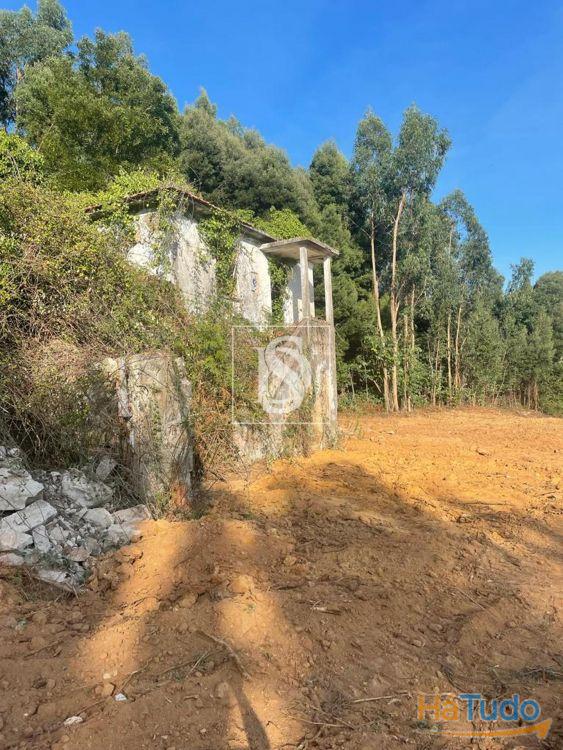 Terreno Venda em Santa Maria da Feira, Travanca, Sanfins e Espargo,Santa Maria da Feira Terreno Venda em Santa Maria da Feira, Travanca, Sanfins e Espargo,Santa Maria da Feira