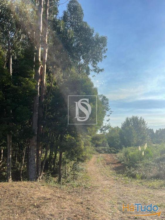 Terreno Venda em Santa Maria da Feira, Travanca, Sanfins e Espargo,Santa Maria da Feira Terreno Venda em Santa Maria da Feira, Travanca, Sanfins e Espargo,Santa Maria da Feira