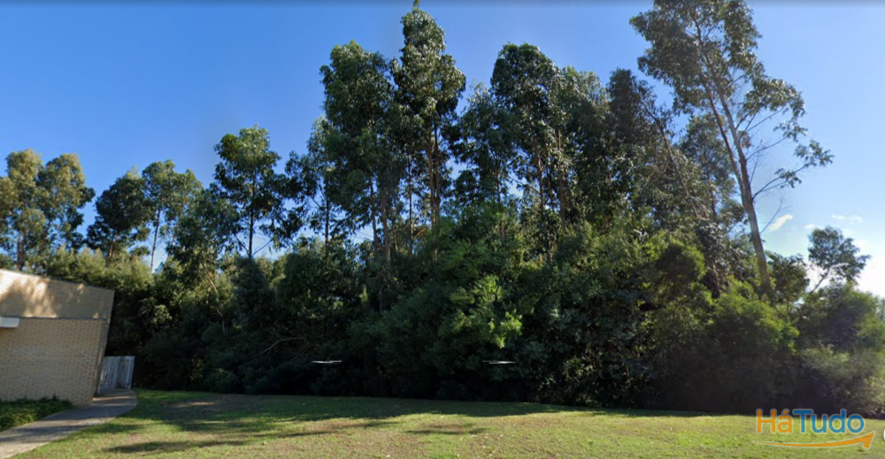 Terreno Venda em Santa Maria da Feira, Travanca, Sanfins e Espargo,Santa Maria da Feira Terreno Venda em Santa Maria da Feira, Travanca, Sanfins e Espargo,Santa Maria da Feira