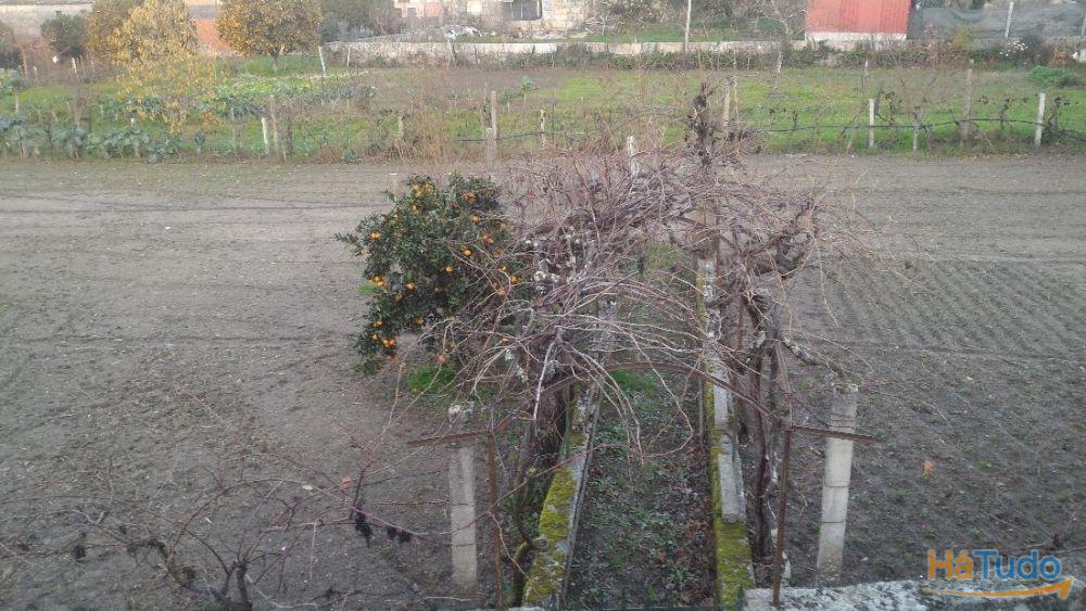 Venda de Terreno em Lagares